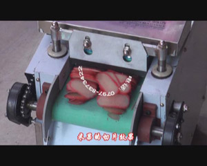 �๦���в˙C-���׹�Ƭ