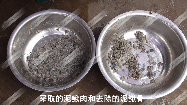 �����q��-���q�����qƤ���ȈD-�M�ƙCе