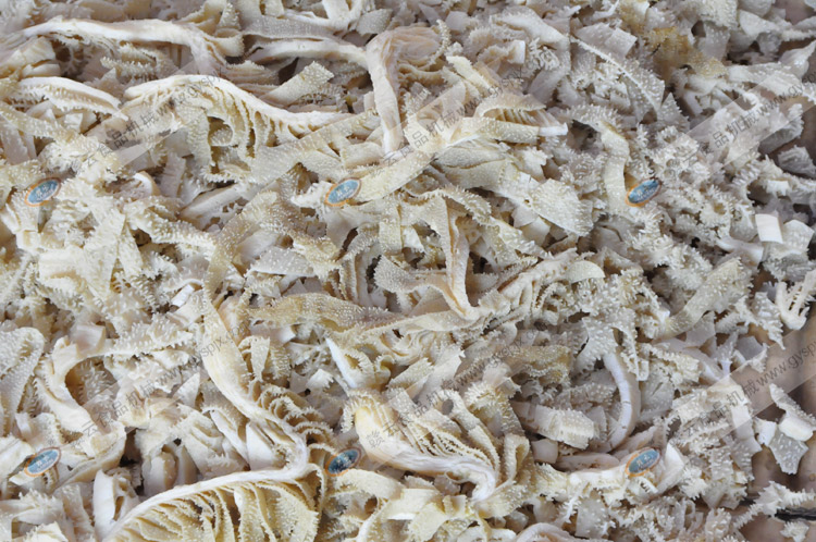 �๦���в˙C��ţ�ǽz�D��