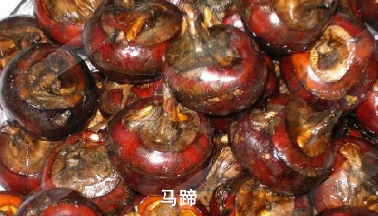 �R��-�R����-���ͼ���������