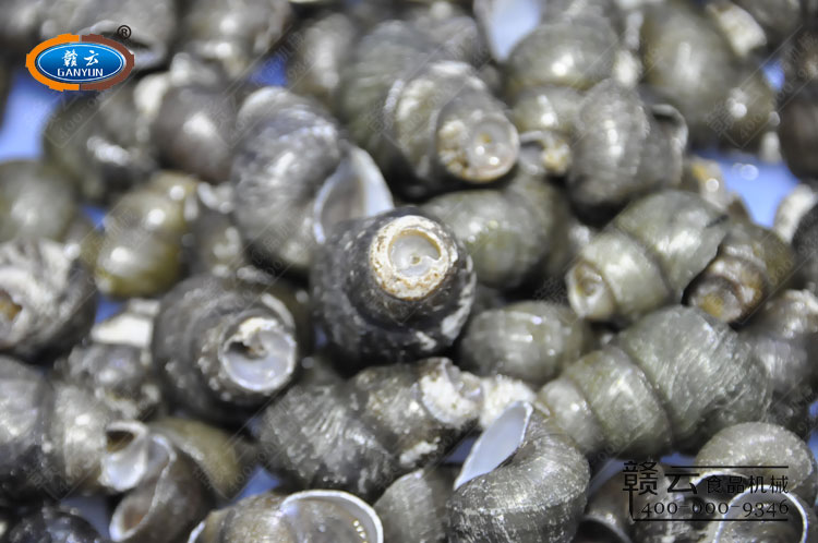 ���õ������،��D