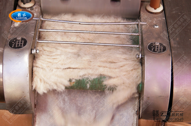 ����ëЧ��