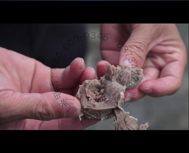 �ε����͙C