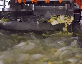 �o(w��)�p��ϴ