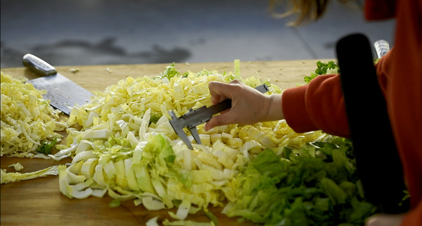 �˹��вˎ���Ч�����^�DƬ