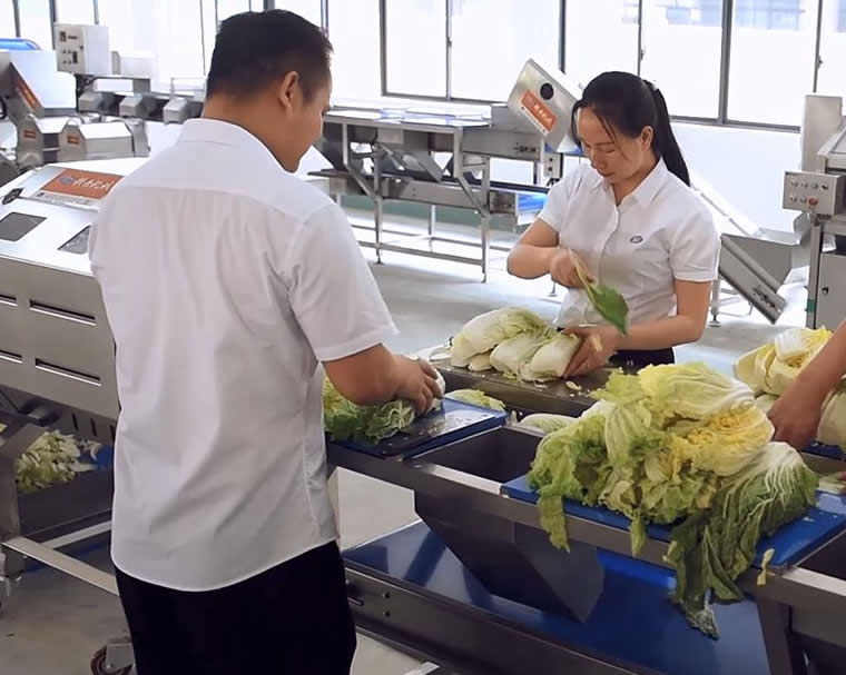 �A(y��)�Ʋ���ϴ���˹��֒�