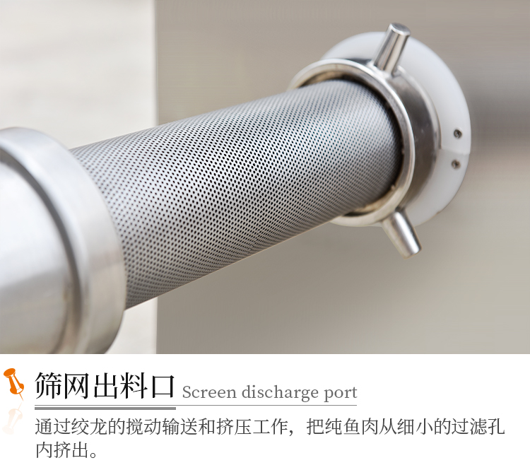 �Y�W���Ͽ�